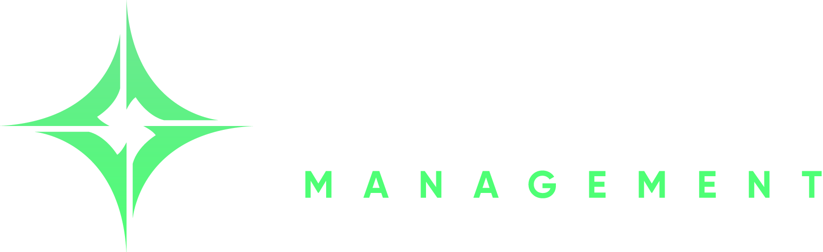 NEWTON MANAGEMENT